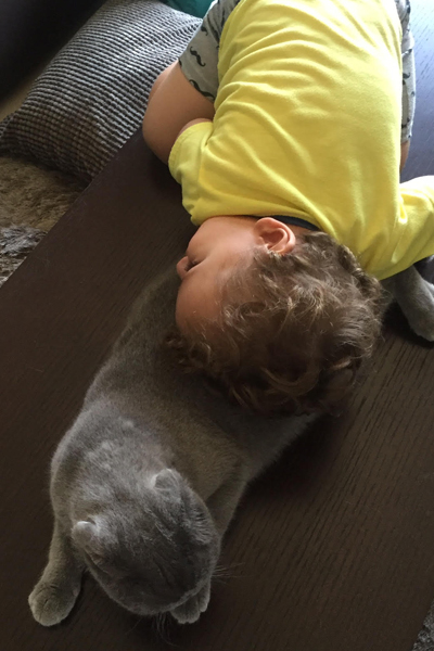 a little boy sleeping next to a cat
